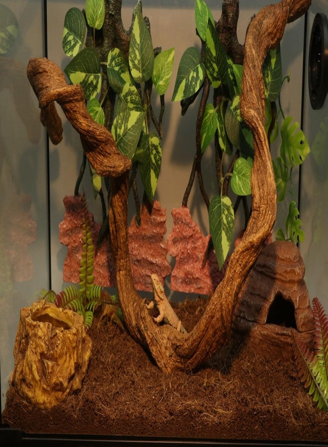 AQUA KT Reptile Twist Climber Vine Bendable Branch for Lizard Snake Bearded Dragon Crested Gecko Climbing Accessory Terrarium Habitat Decoration - Image 3